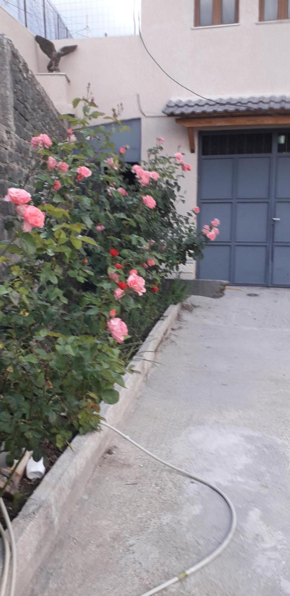 Shena Guest House Gjirokaster Bagian luar foto
